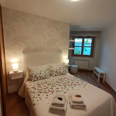 公寓 Centro Homyhome Ii 庞特维德拉
