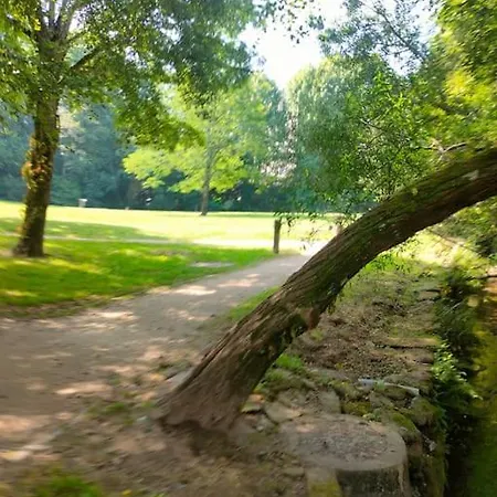 Apartamento Centro Homyhome Ii