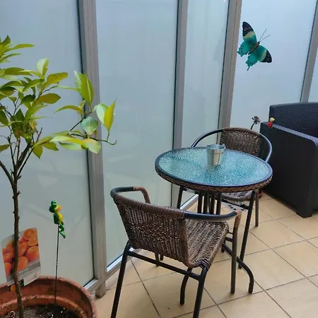 公寓 Centro Homyhome Ii 庞特维德拉