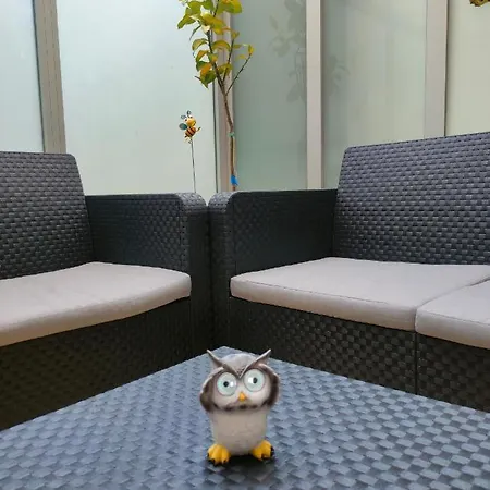 Centro Homyhome Ii 公寓
